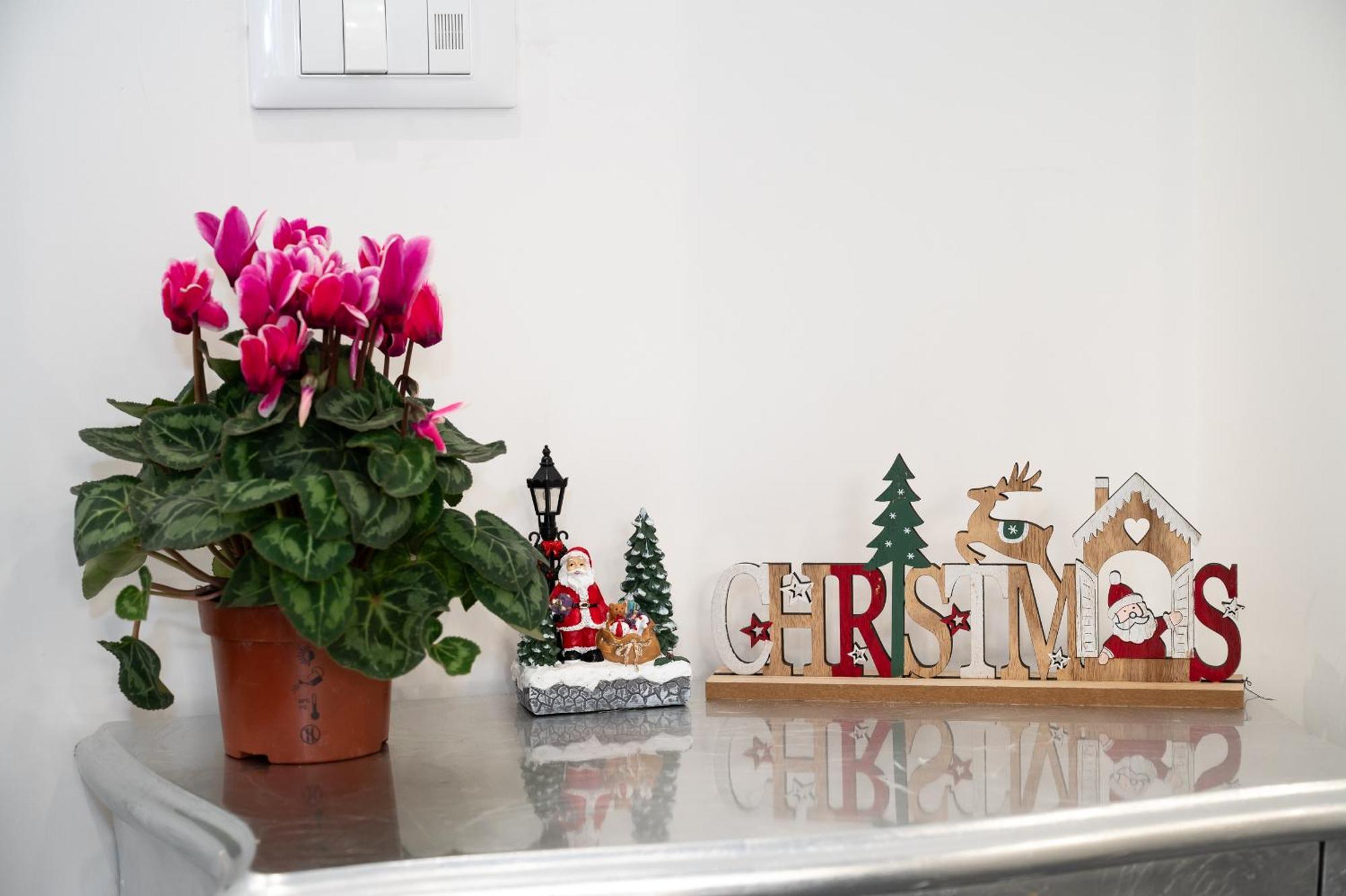 St. Peter Boutique Apt Róma Kültér fotó